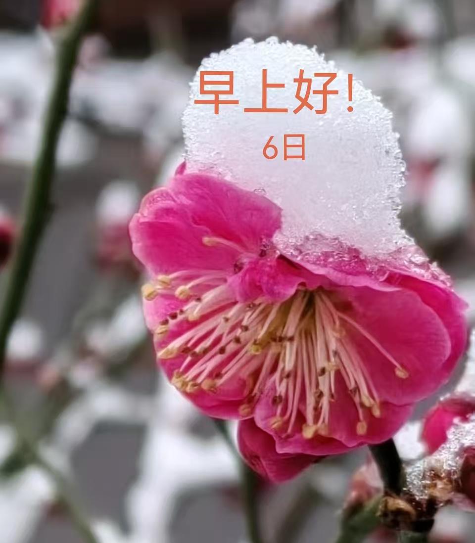 现在学校教育有点本末倒置！主要表现在，小学就刚开始就特别紧张，作业多，家长就