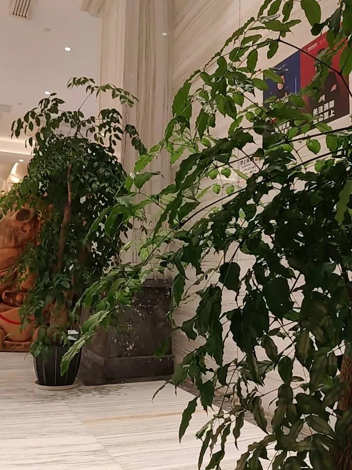 这轮科技牛市，任某某，李某某害了多少了，不仅大量收取会员费，估计后面还有一些灰色