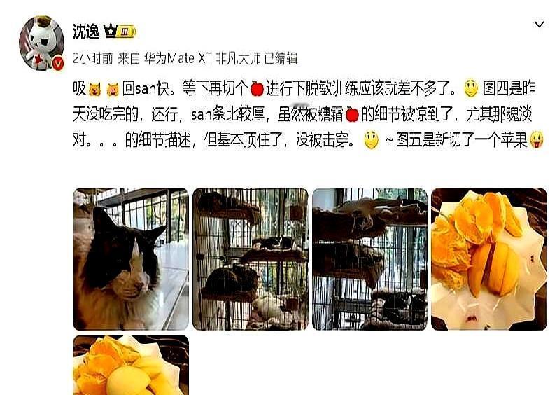 1月19号，牢A在直播里把“糖霜苹果”说成南美黑帮的日常——欠债不还，直接斩首剥