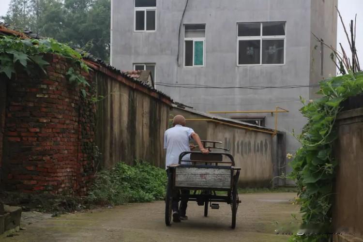 姑父64岁得了肠癌，老两口有存款5万，有2女1子，现在全家人在讨论谁出钱治？