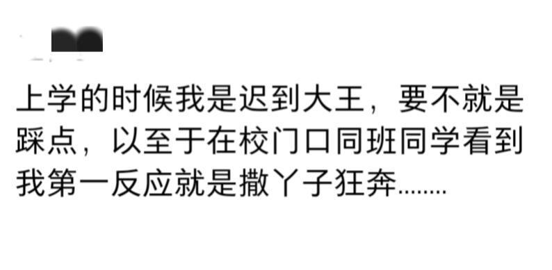 原来每个人都有自己的上班搭子