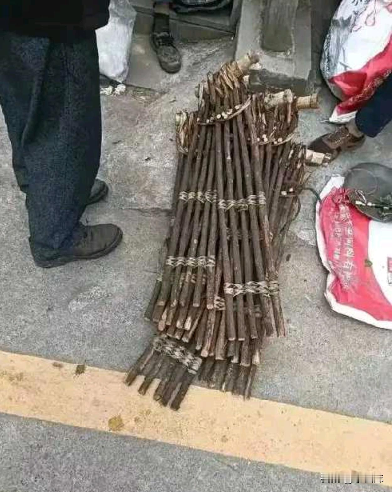 现在还有多少人认识这个？