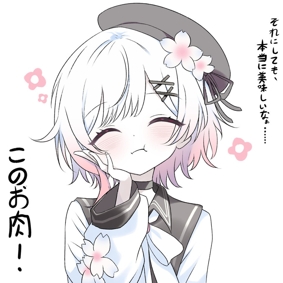 来历不明的肉，神秘消失的魔法少女