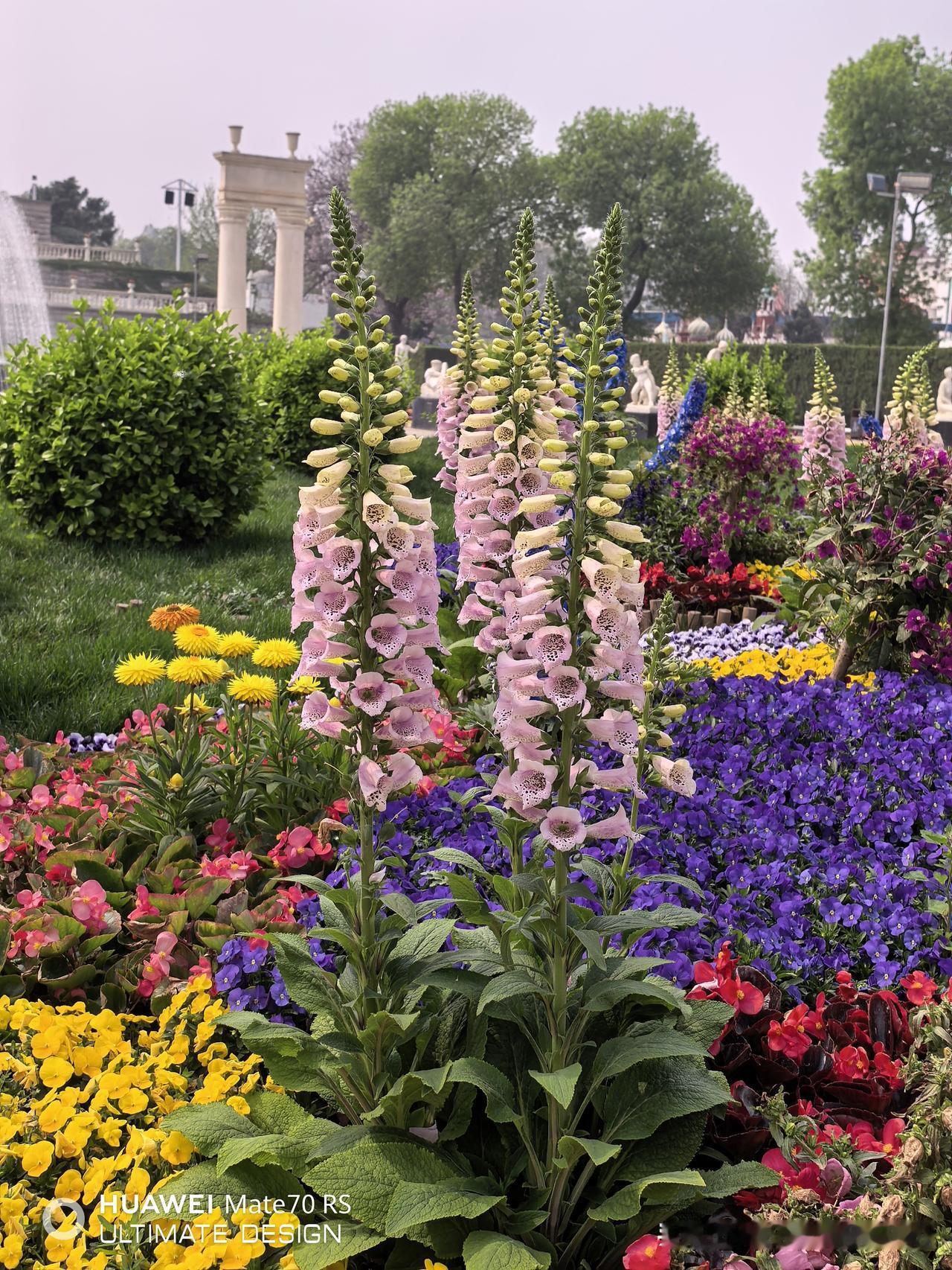 煤炭股市值十二强股息率怎么样？1.中国神华，股息率6.23%，市盈率20.0