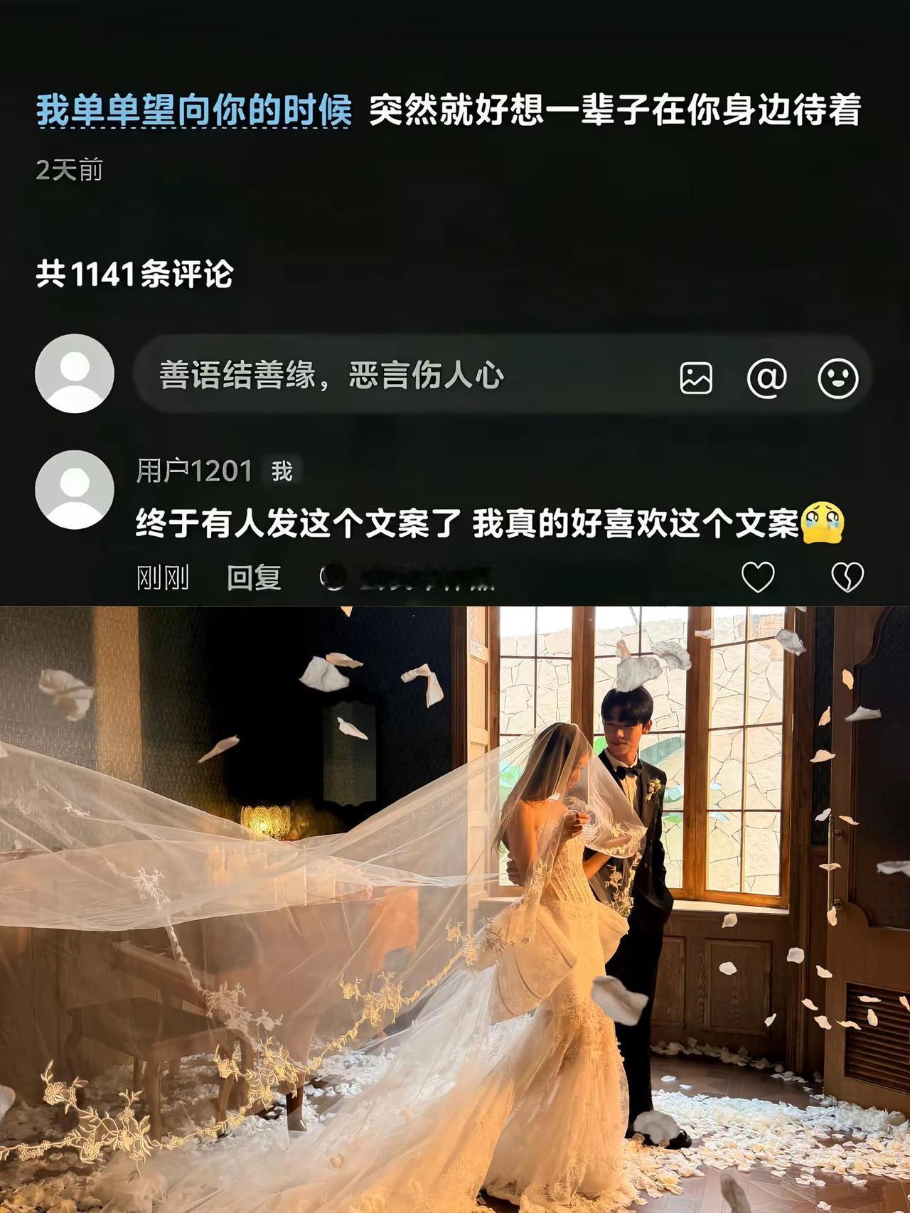 我单单望向你的时候我突然就好想一辈子在你身边呆着花瓣雨婚纱婚纱照是具象化的爱