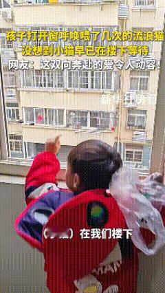 万万没想到，一男孩养了很久的小猫一天突然去世了，结果在某天去医院的路上，竟然看到