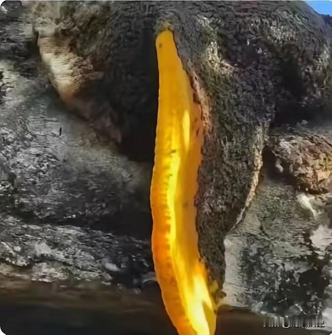 江西，48岁王姓男子上山观赏风景摄影，在返程时感觉疲惫，打算休息一会儿。突然，他