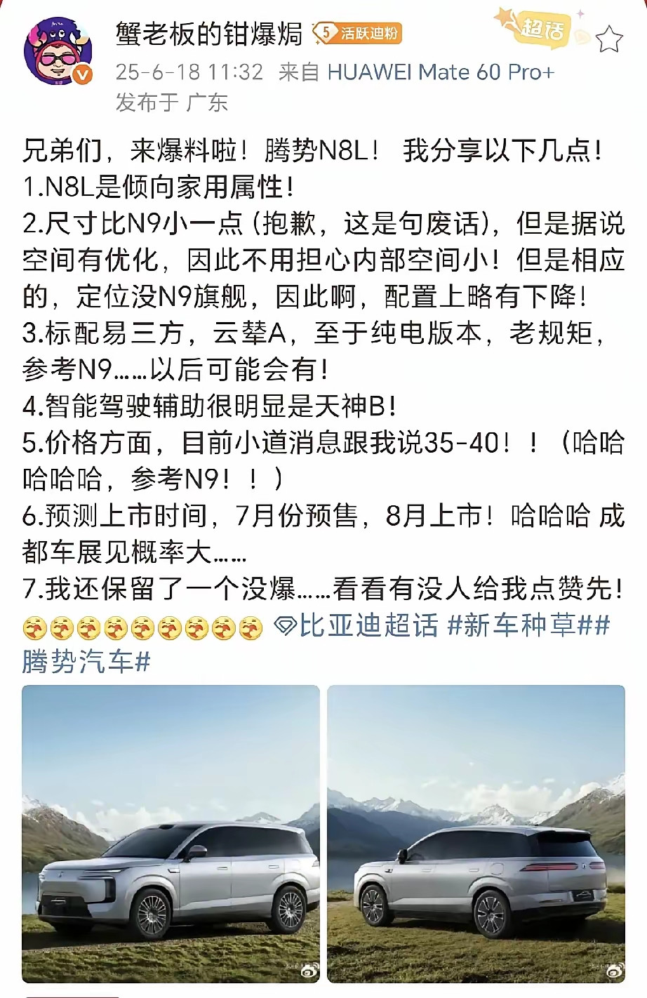 腾势N8L这价格，就略贵咯