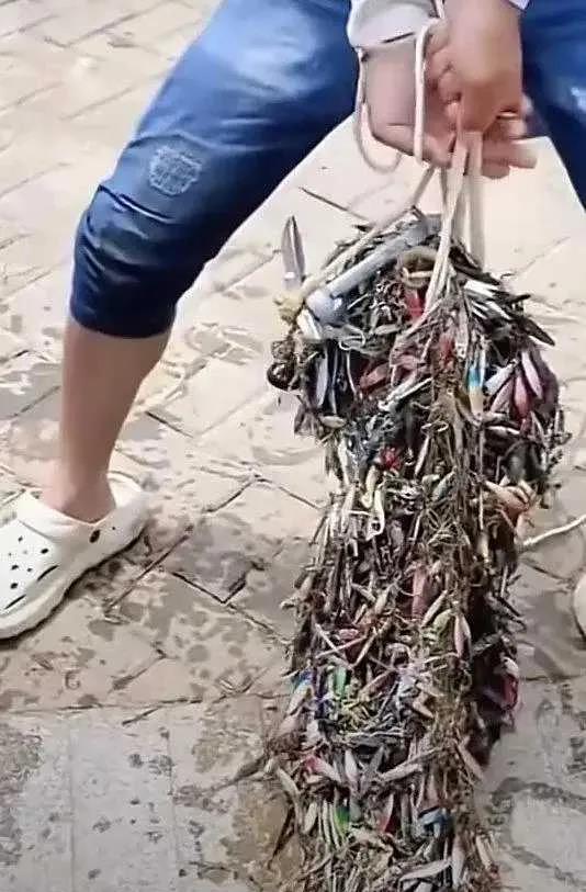 老公出去钓鱼，结果钓起来这堆东西，有人知道这是啥吗？