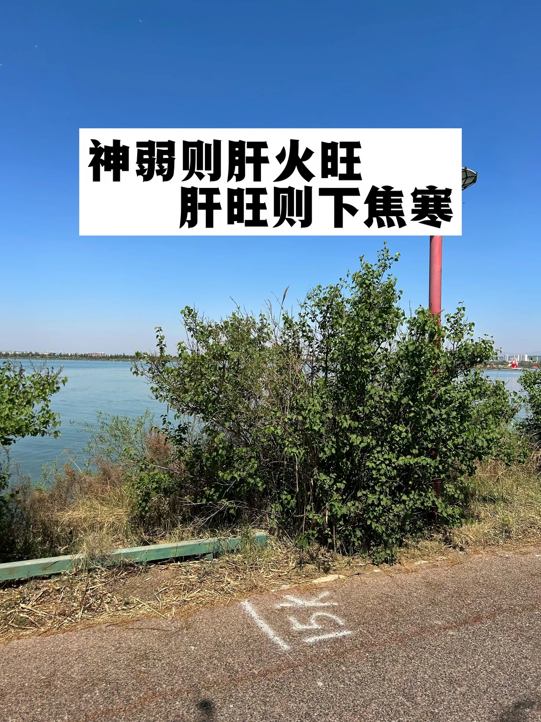 神弱则肝火旺，肝旺则下焦寒.