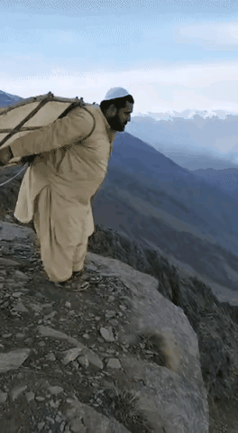 这就是传说中的“印度飞饼”吗？确实值1000元？