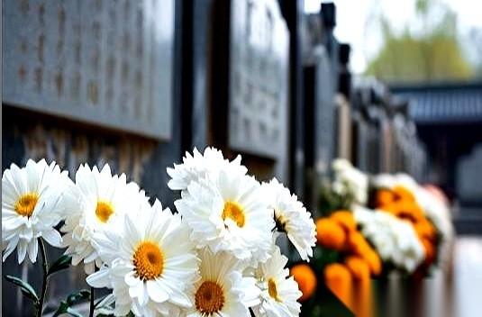 2026年3月30号，殡葬这行要变天了。过去家里送走一位老人，人还恍惚着，一张