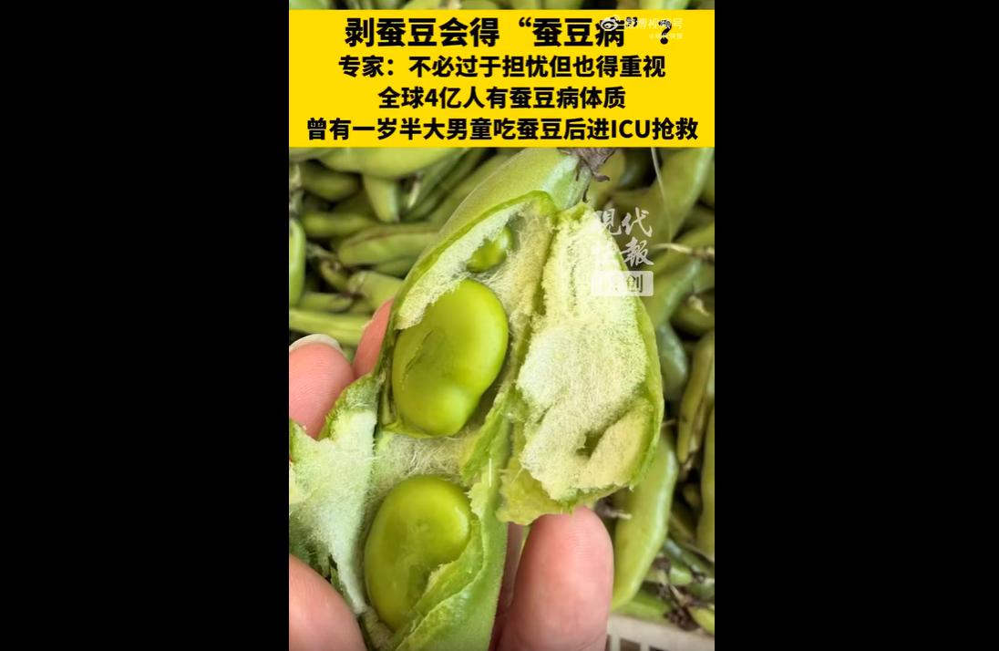 近日，苏州一农贸市场禁止现场剥蚕豆引发网友讨论，网友猜测此举是为规避蚕豆病风险，