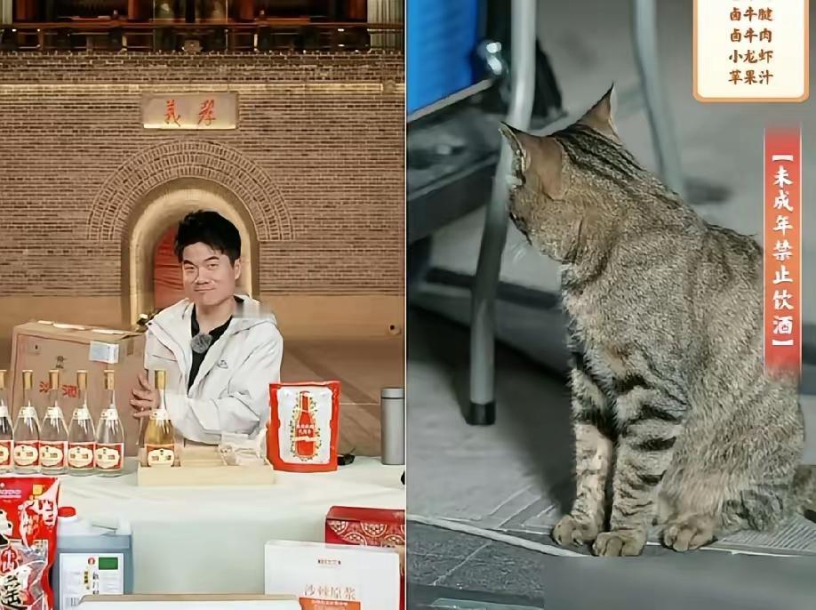 人设可以装，但是人品装不出来。董宇辉的反应就是最好的证明，别的主播要是看到小