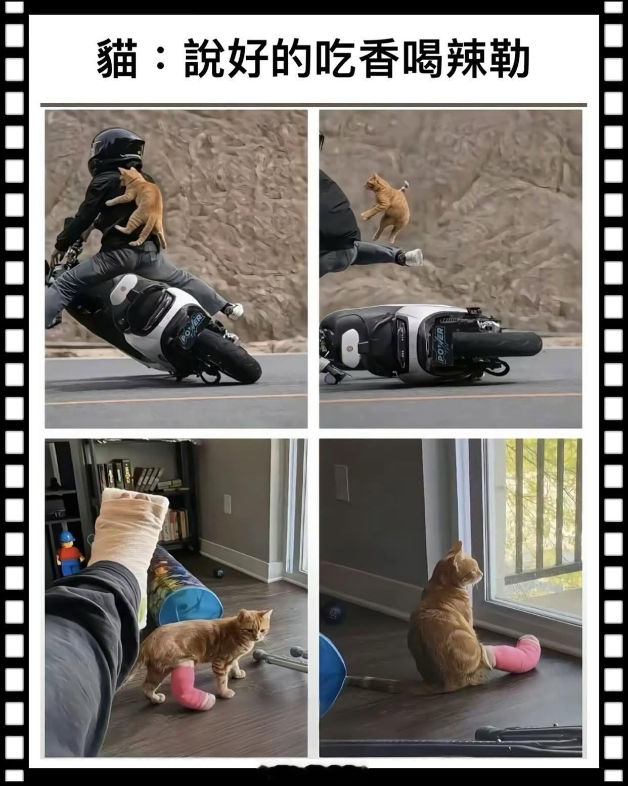 原来这就是三脚猫[扁嘴]​​​