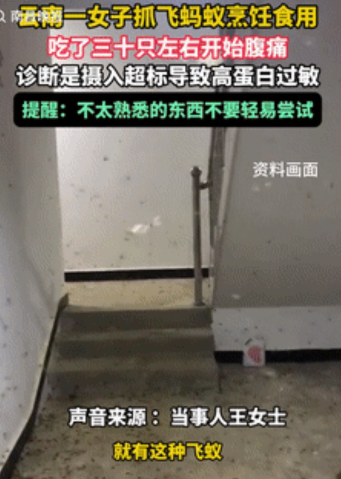 人果然不能吃太饱！云南保山，一女子见雨后出现很多飞蚂蚁，想到当地有很多人会吃这东