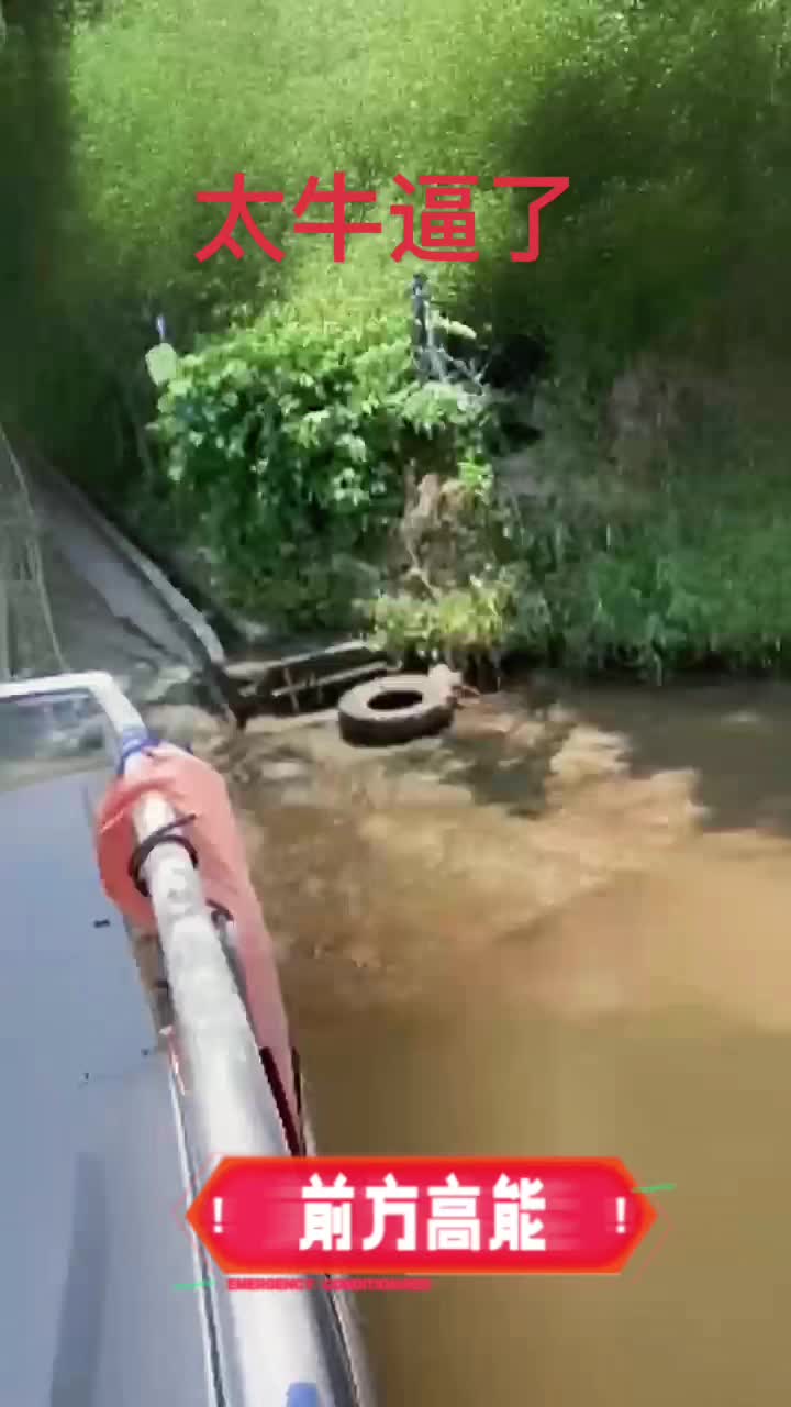 猫咪的迷惑行为 猫咪日常 猫猫的事情你少管 猫咪的不服全写在脸上 是时...