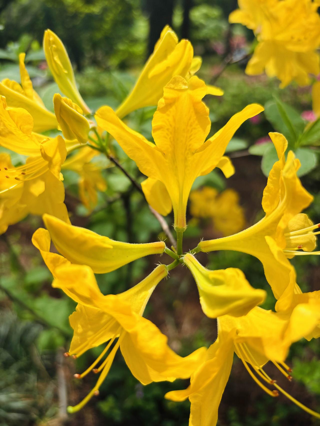 男方去女方家提亲，－顿饭，搅黄了三年感情，到底谁小气？男方去南方的女方家提亲