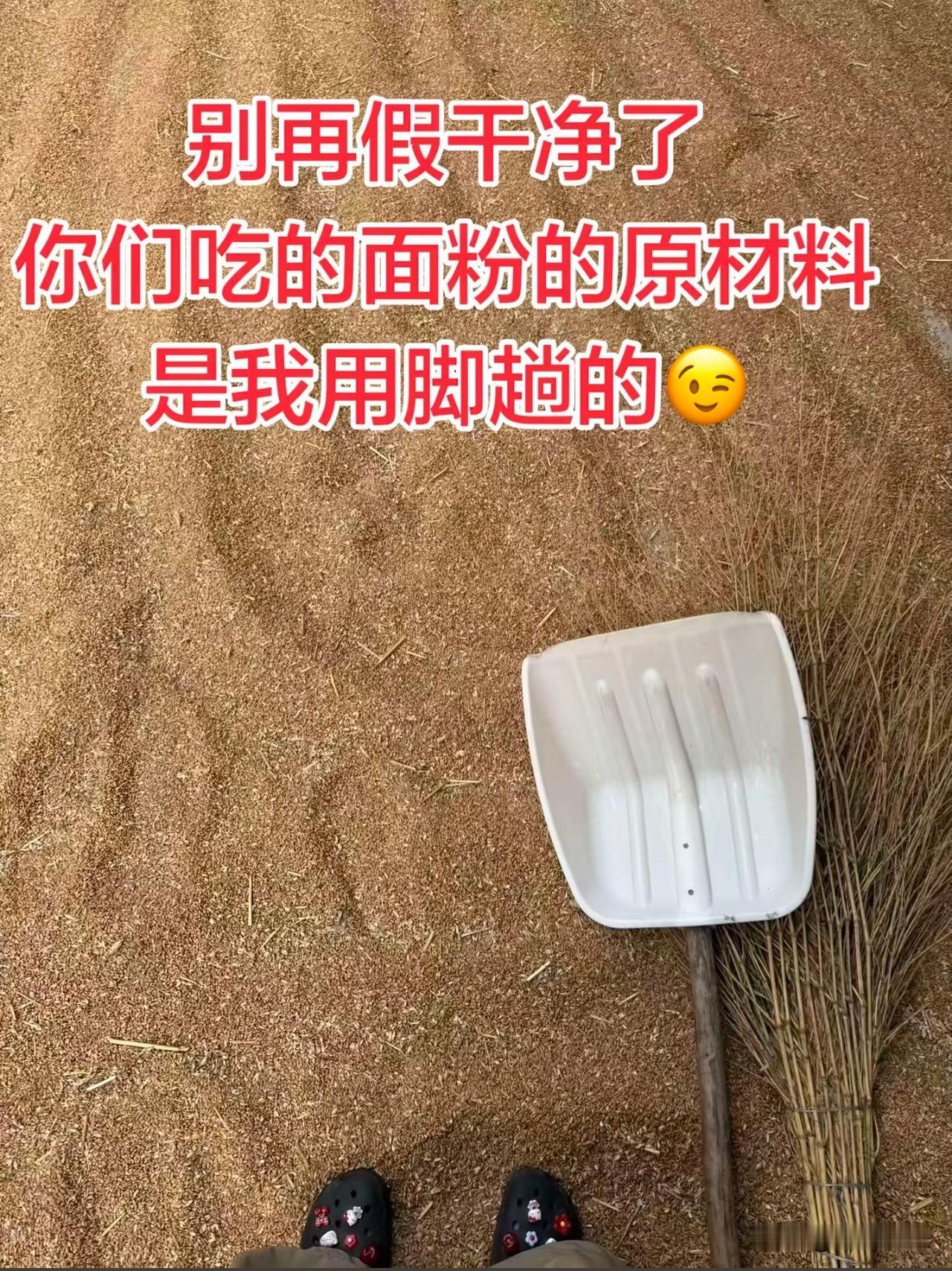 网友：“别再假干净了你们吃的面粉的原材料都是我用脚趟出来的[墨镜]”