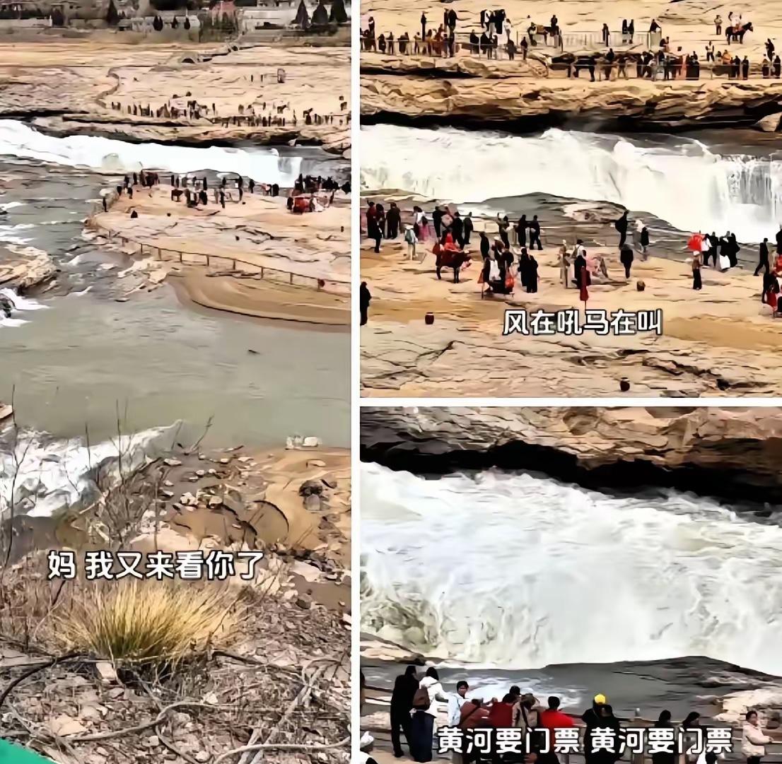 笑死我了，但笑完有点堵。​3月22日，壶口瀑布景区外，一个女的对着黄河开唱，“