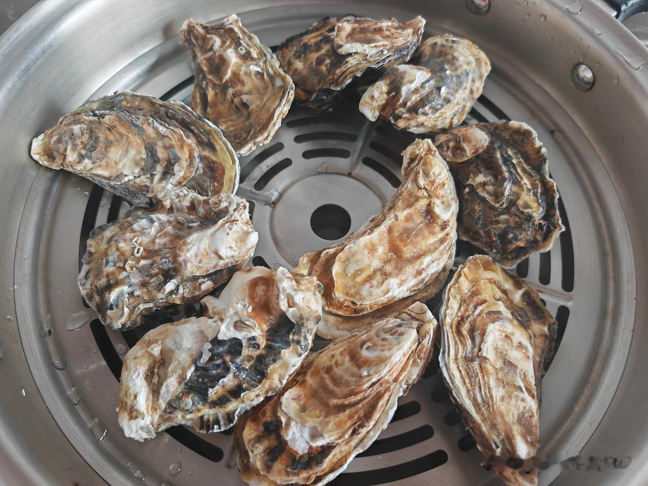 昨天就我和孙子吃晚饭，下午在叮咚买菜买的生蚝和美贝，和了一块面（加点盐），晚饭食