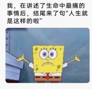 我妈描述中的我