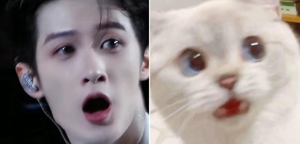 猫塑很成功的一位了，檀猫咪呀，你咋这么萌呢～[抱抱]​​​