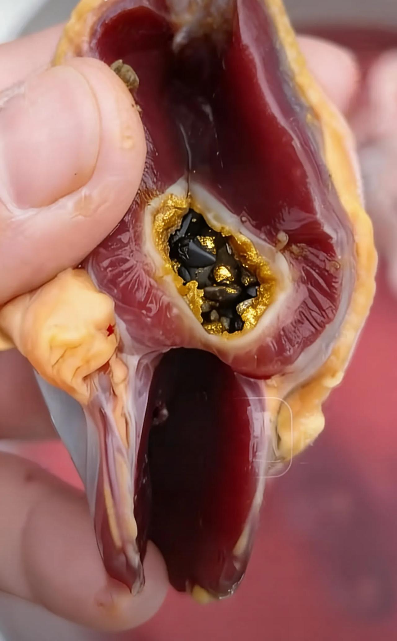 邵阳男子清理家鸭，竟掏出黄金颗粒？真相太意外！2026年2月26日，湖南邵阳