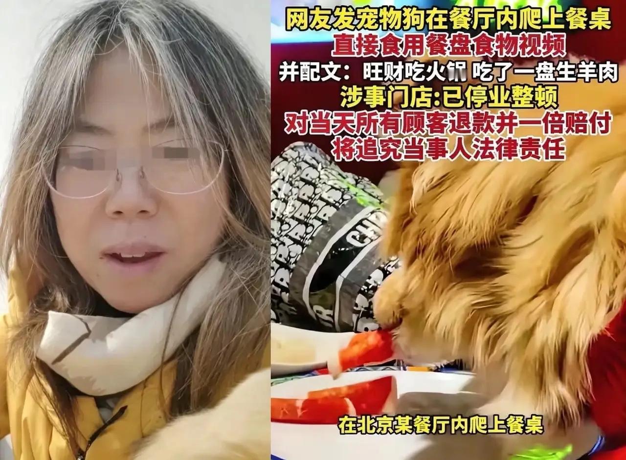 这两天南门刷肉的事儿，估计老板连肠子都悔青了！你以为是因为狗舔盘子、赔了