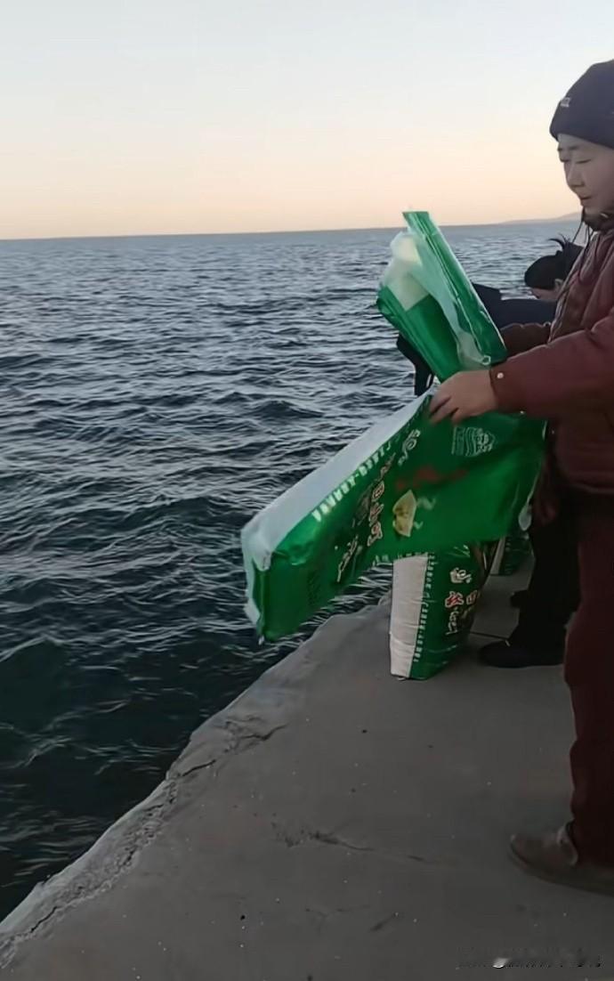 用大米放生的闹剧你见过没？今天算是第一次开眼界了！11月20日辽宁葫芦海来了一些