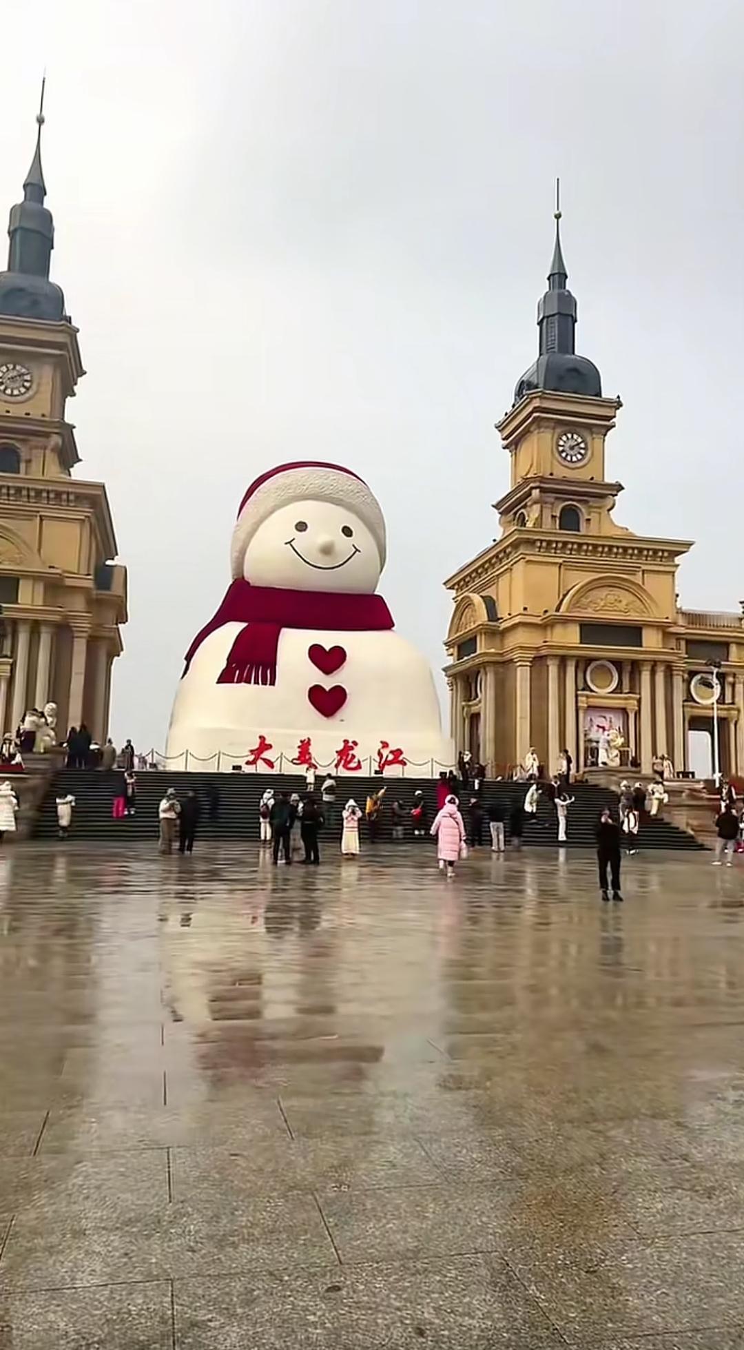 哈尔滨竟然下雪了！大雪人身上都是细小的黑点！12月19日，哈尔滨迎来了较为反