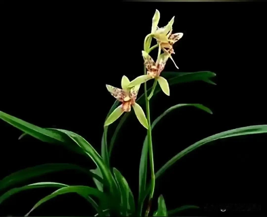 醍醐灌顶的一段话：“婚外情从不是能走多久，而是能否扛得住因果。短则一年，内心大乱