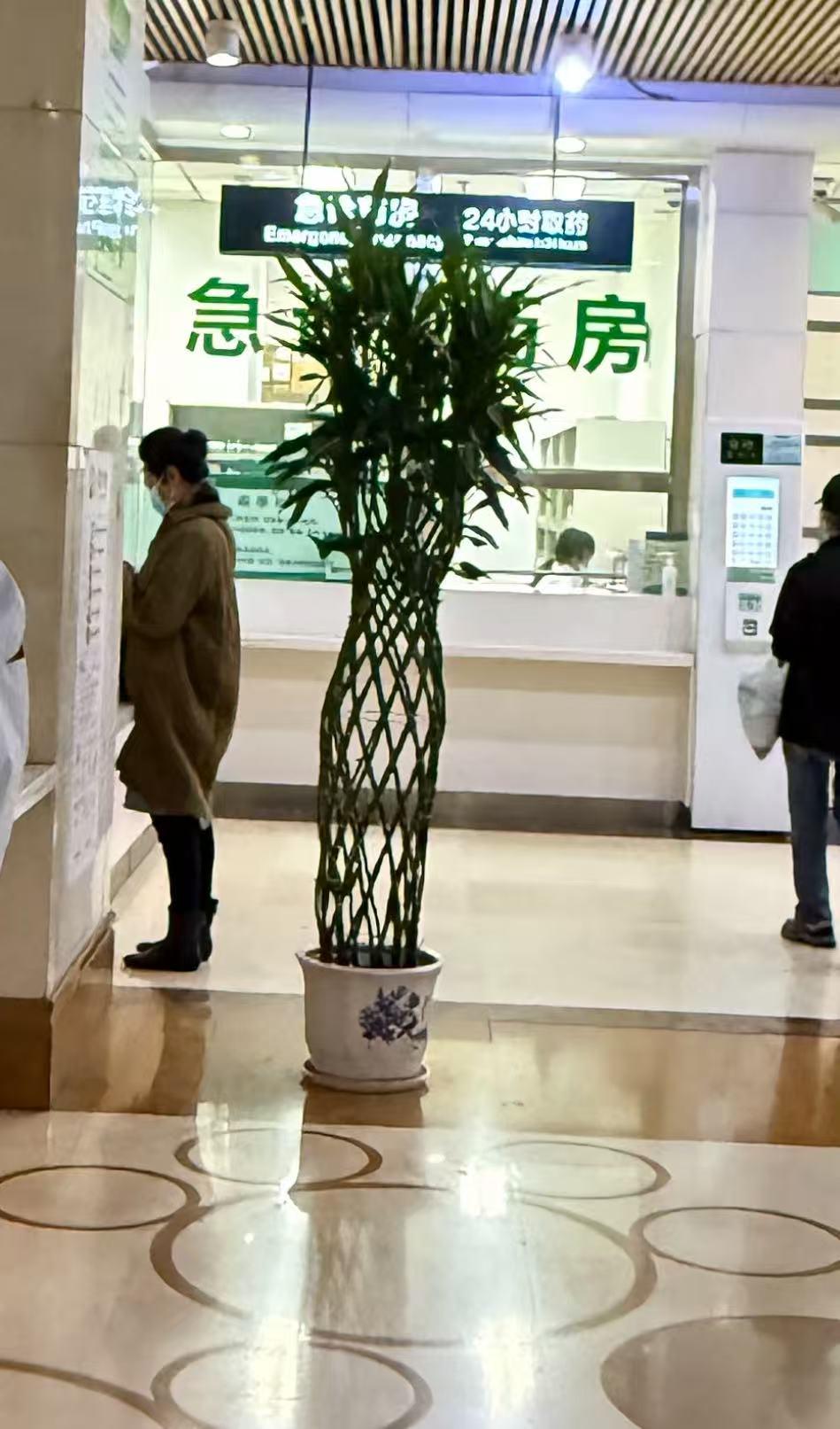 70岁王丽云独自看病，未见女儿车晓的身影。现在大多岁能吃苦的老人，包都不想麻烦子