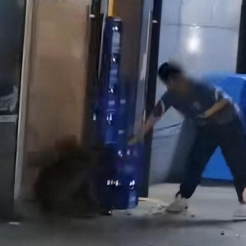 浙江一男子遛狗,不牵绳的柯基挑衅牵绳的大狗被咬,男子用啤酒瓶爆了大狗的头。这就是