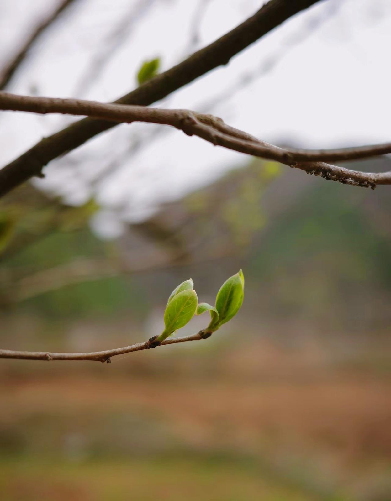 90%的夫妻状态：在外是好夫妻，回家变成好邻居。从前是不离不弃是夫妻现在是不离不