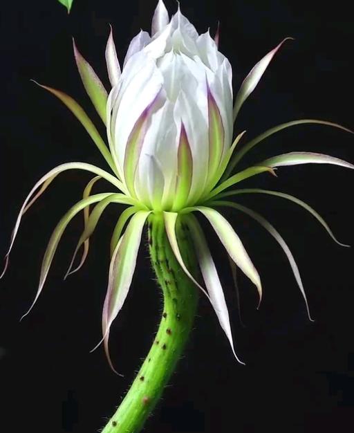 我婚礼当天，我爸全程没笑也没哭，递完红包就塞给我老公一张皱巴巴的纸条，气得我当场