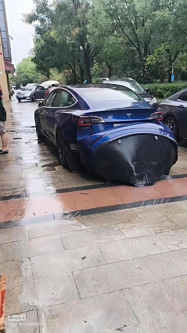 这是怀了个小特斯拉要生了吧