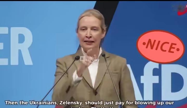德国政坛炸了锅！1月25日，那位以敢说敢言的德国选择党女大佬爱丽丝·魏德尔，当着