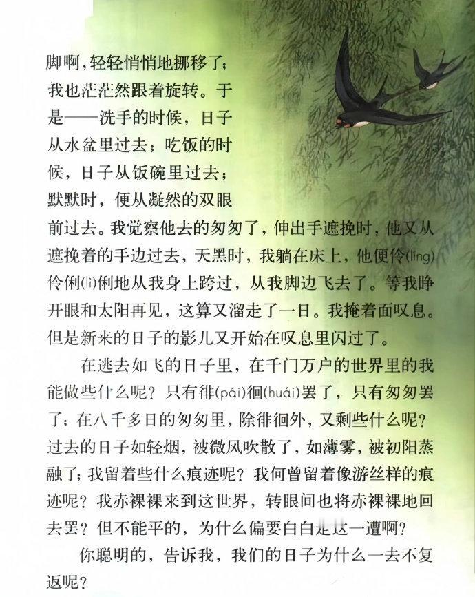 如果不是忙着赶路，语文一定是最美的学科
