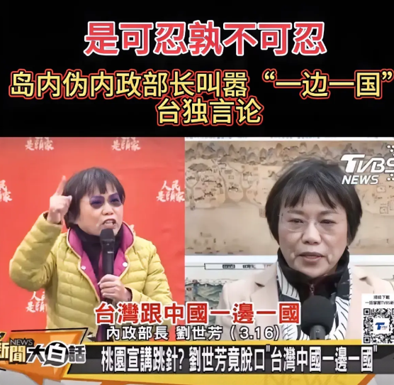 是可忍孰不可忍！岛内伪“内政部长”刘世芳在桃园的一场公开演讲中，公然宣扬“中国与