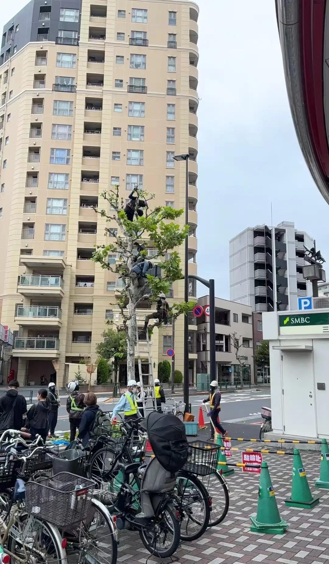 终于知道为啥日本人员短缺了。去超市一出来，门口咋这么多人呢，一抬头好家伙，修