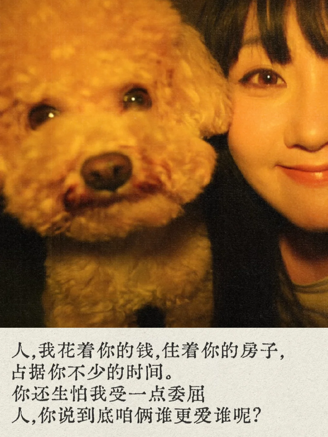 这种感觉和没有小狗的人说不清楚…✨⋆♡˖° '◡'