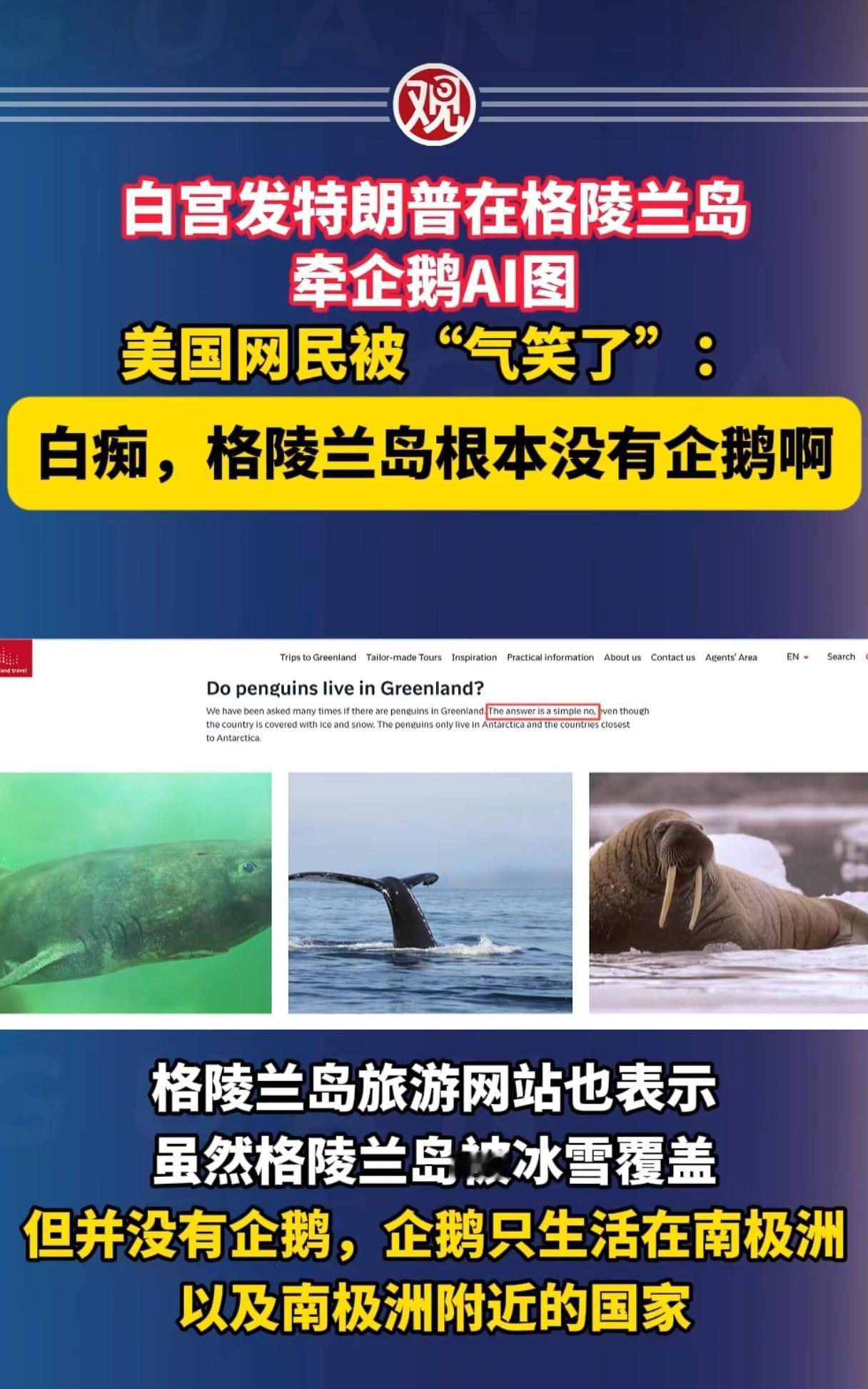 老小孩说，我这只是犯了个小错误，你们怎么能骂人呢？况且，我那不叫错误，叫内心的想