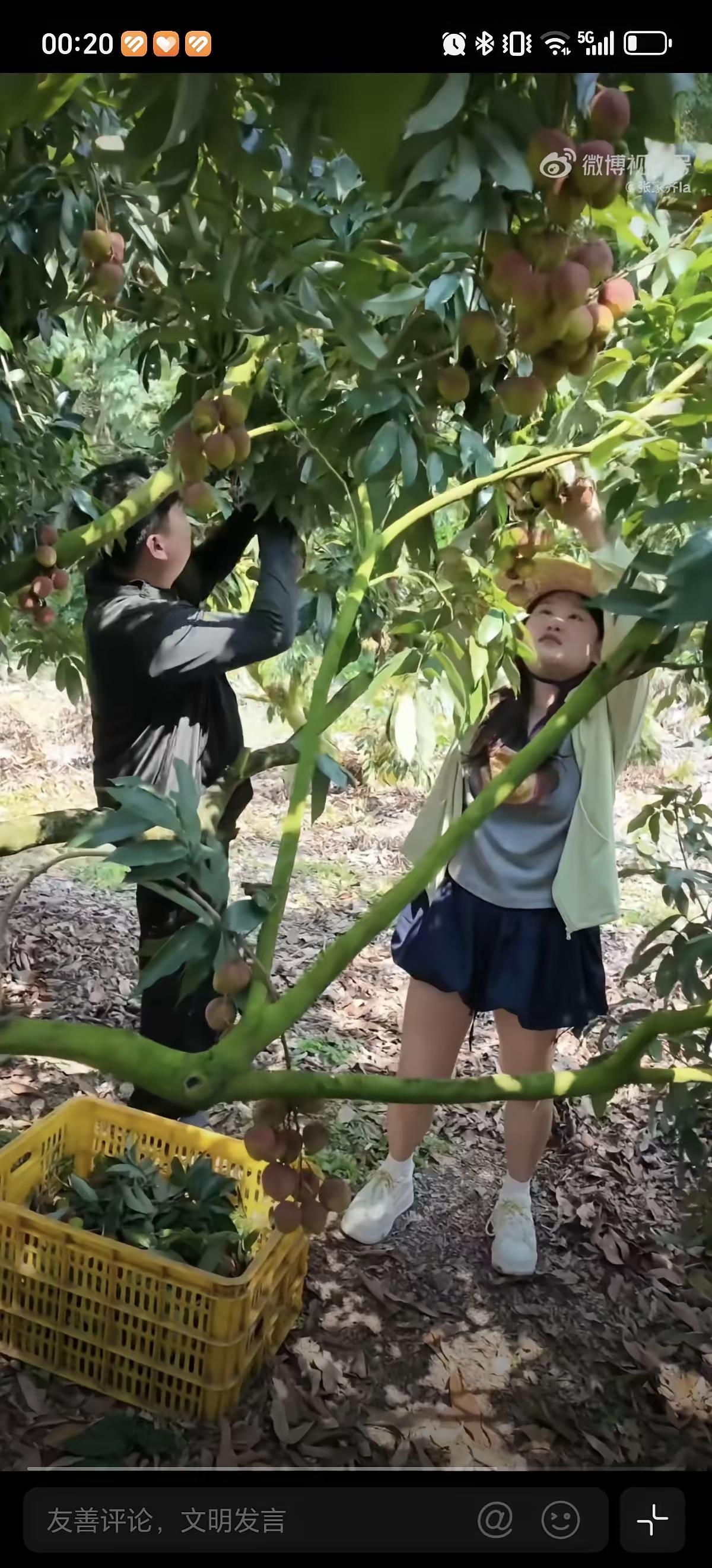 6月2日张家齐和全红婵关系这么好吗？都去和全红婵哥哥一起卖荔枝了。原来张家齐和陈