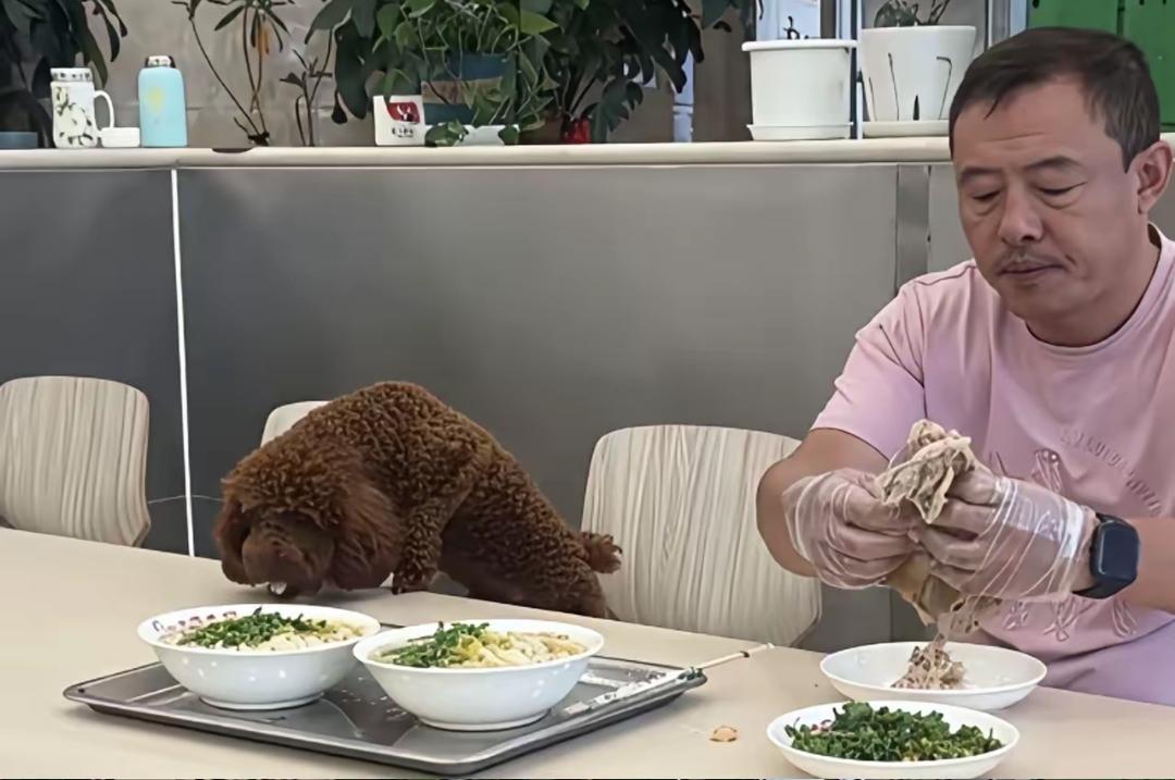 宠物能进餐馆吗？最近很多餐厅饭馆被所谓打造“宠物友好型”餐厅口号忽悠了，放任有