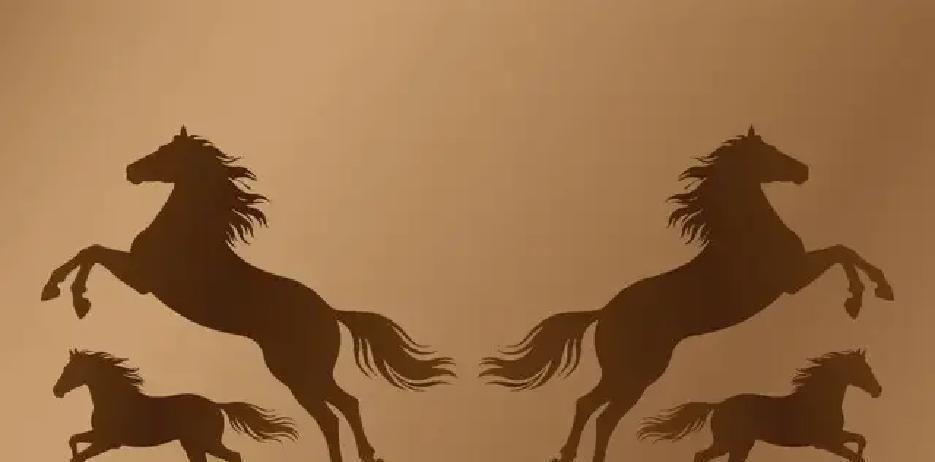 清明前后，属马人家里突然多出新面孔，最炸裂的反差在于：一直风风火火自己扛的你，终