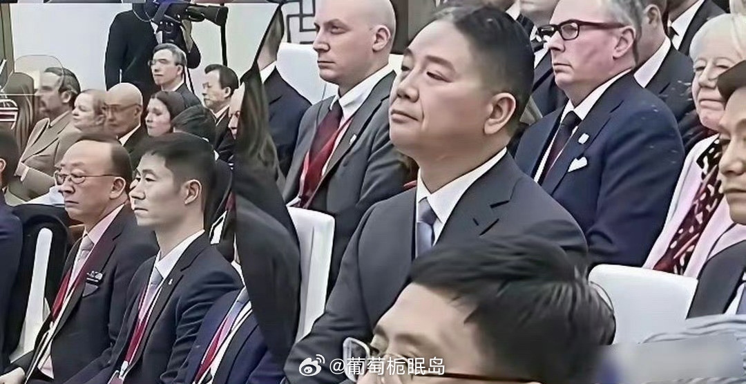 刘强东是真牛，出国开会，旁边雷军都得带着翻译耳机，他压根不用带，自己就能听懂​