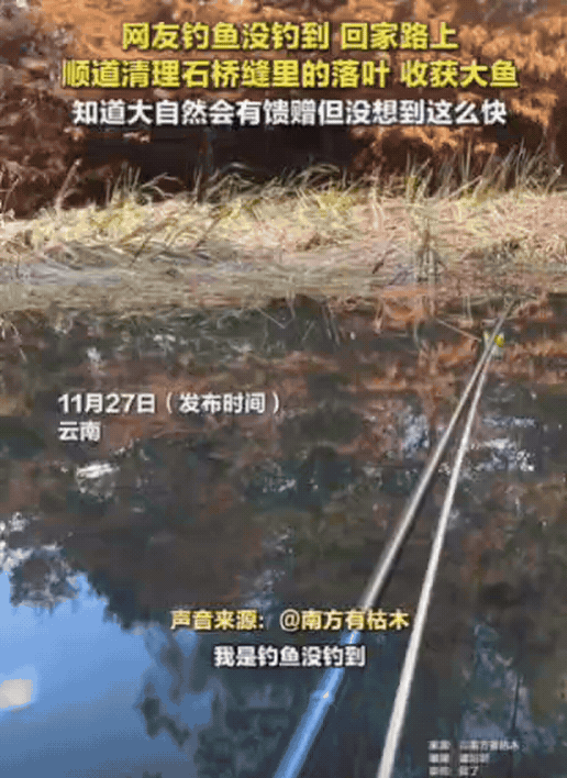 云南一女子钓鱼，一下午啥也没钓到，不料，回家时竟然在一个石头缝里，发现了一条大鲤