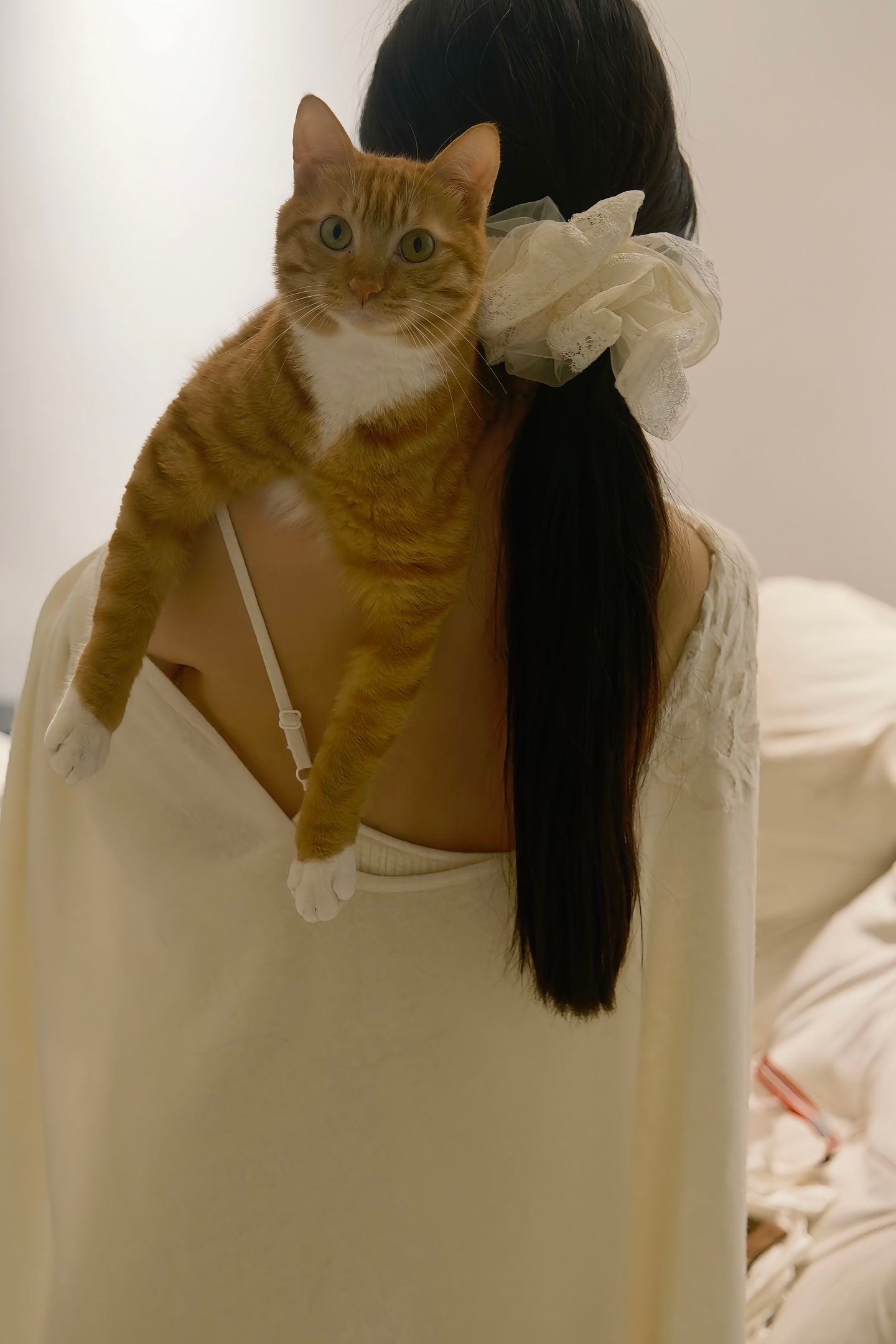 猫咪好可爱🐈​​​