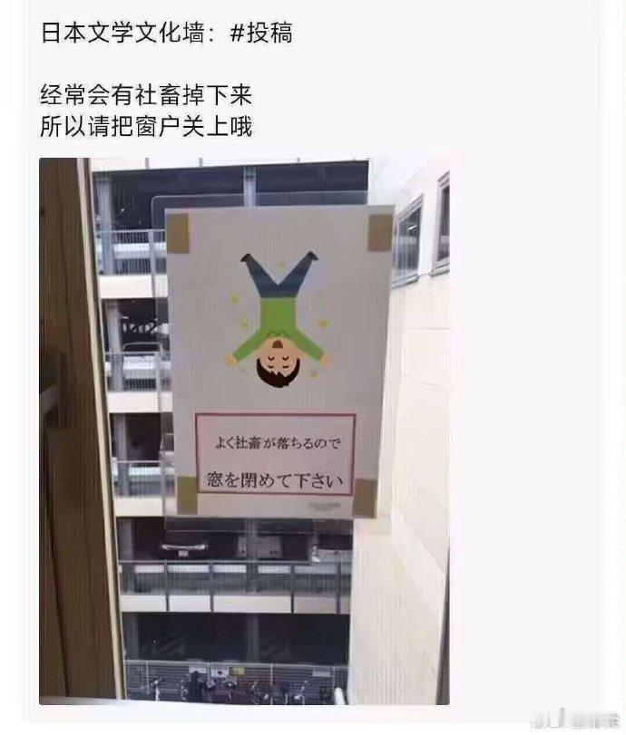 霓虹人离职都这么费人的吗？[汗]​​​